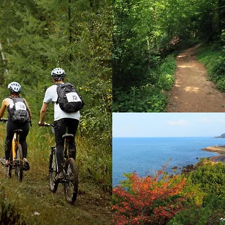 En Zona Monumental *